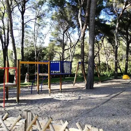 Jardins D Azur C - T2 Avec Piscine Collective A Deux Pas De La Mae-2631